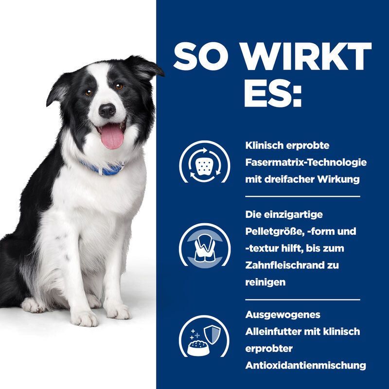 Hill's Prescription Diet t/d Hundefutter mit Huhn