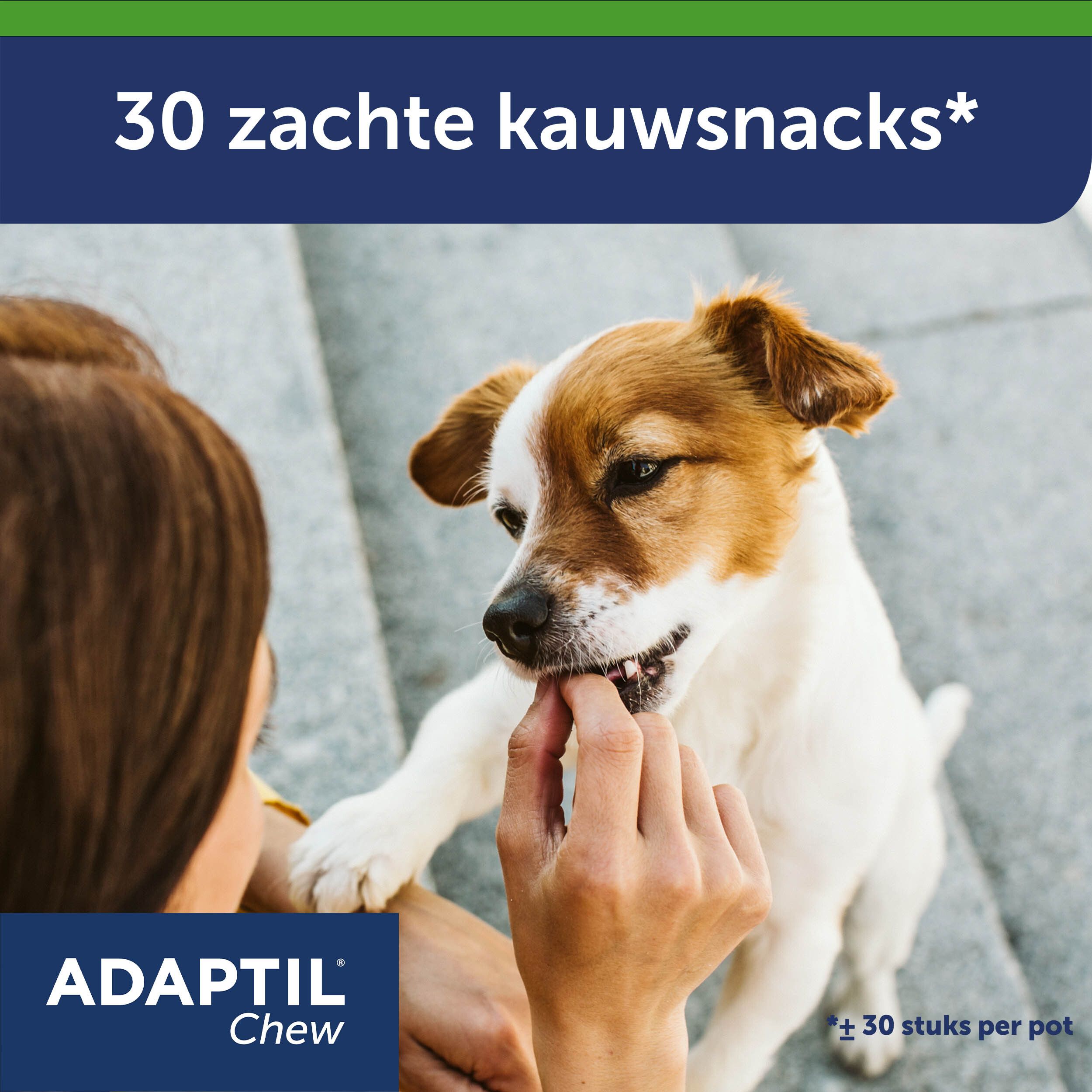 Adaptil Chew. Vrouw geeft hond snack. Tekst: Adaptil Chew. 30 zachte kauwsnacks.