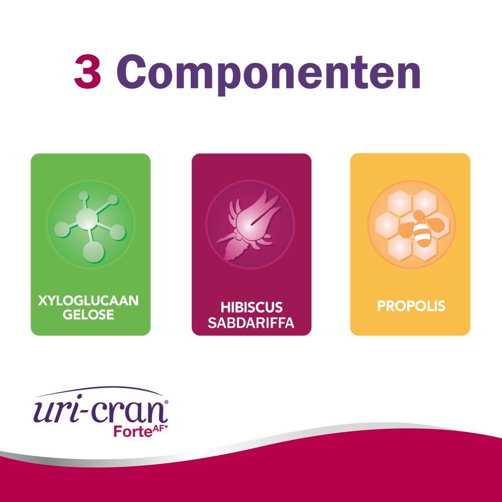 Graphique avec 3 composants : Xyloglucan, Hibiscus, Propolis. Logo Uri-Cran Forte.