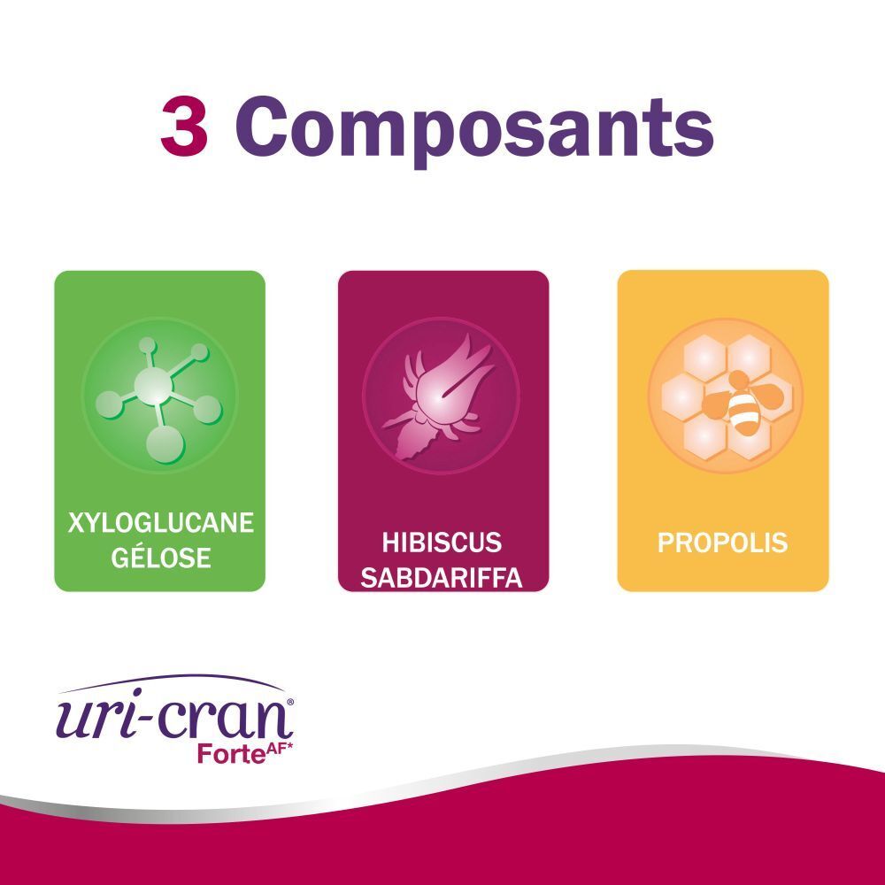 Drie gekleurde vierkanten met ingrediënten: Xyloglucan, Hibiscus, Propolis. Uri-Cran Forte logo.