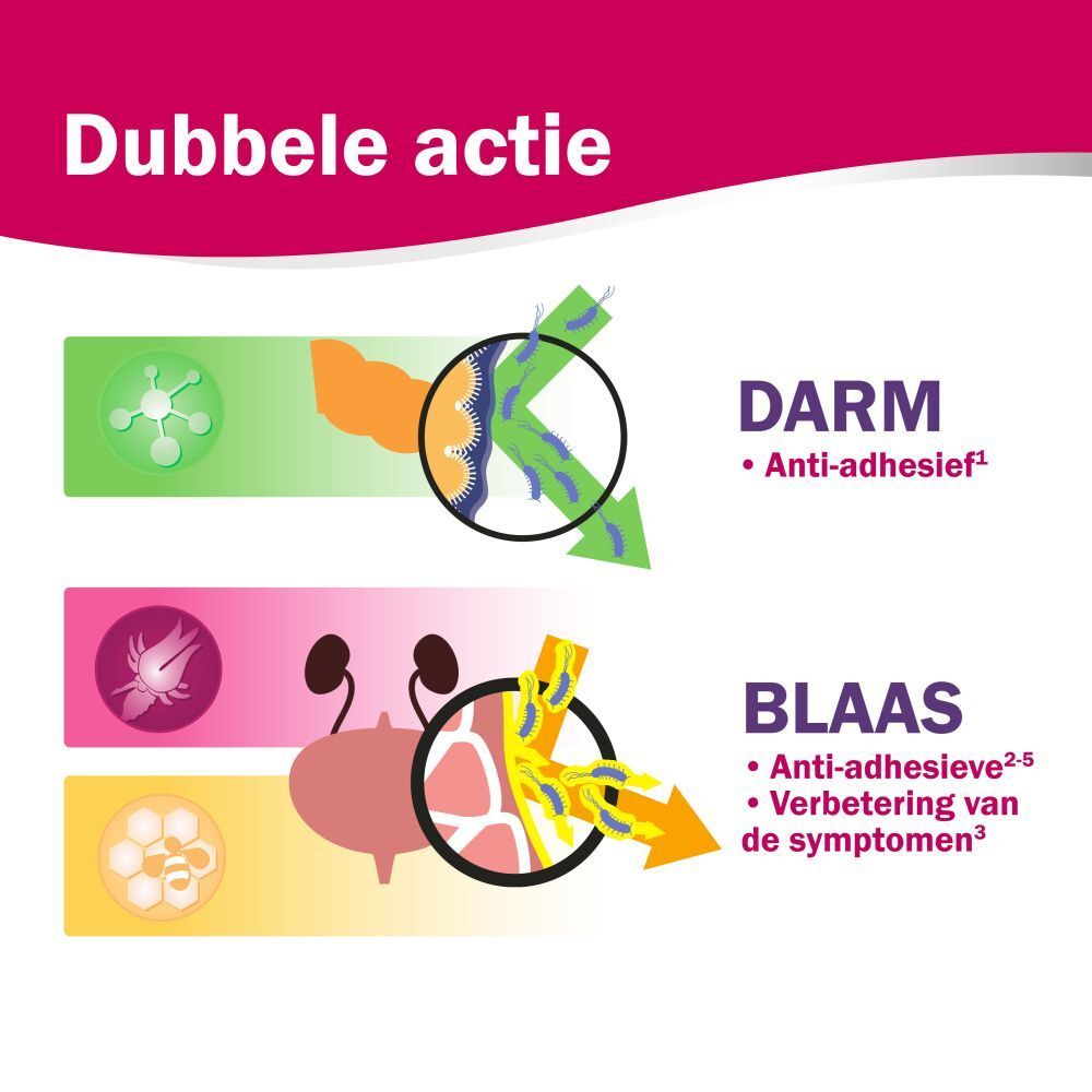 Illustraties: Darm en blaas met pijlen. Tekst: Anti-kleef, verbetering van de symptomen.