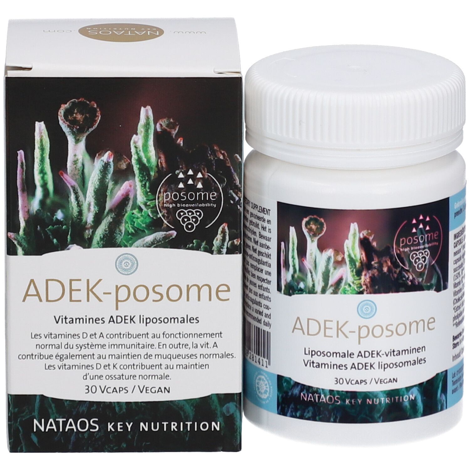 Produktverpackung mit Flasche und Schachtel. Aufschrift: ADEK-posome, 30 VCaps/Vegan. Logo: posome.