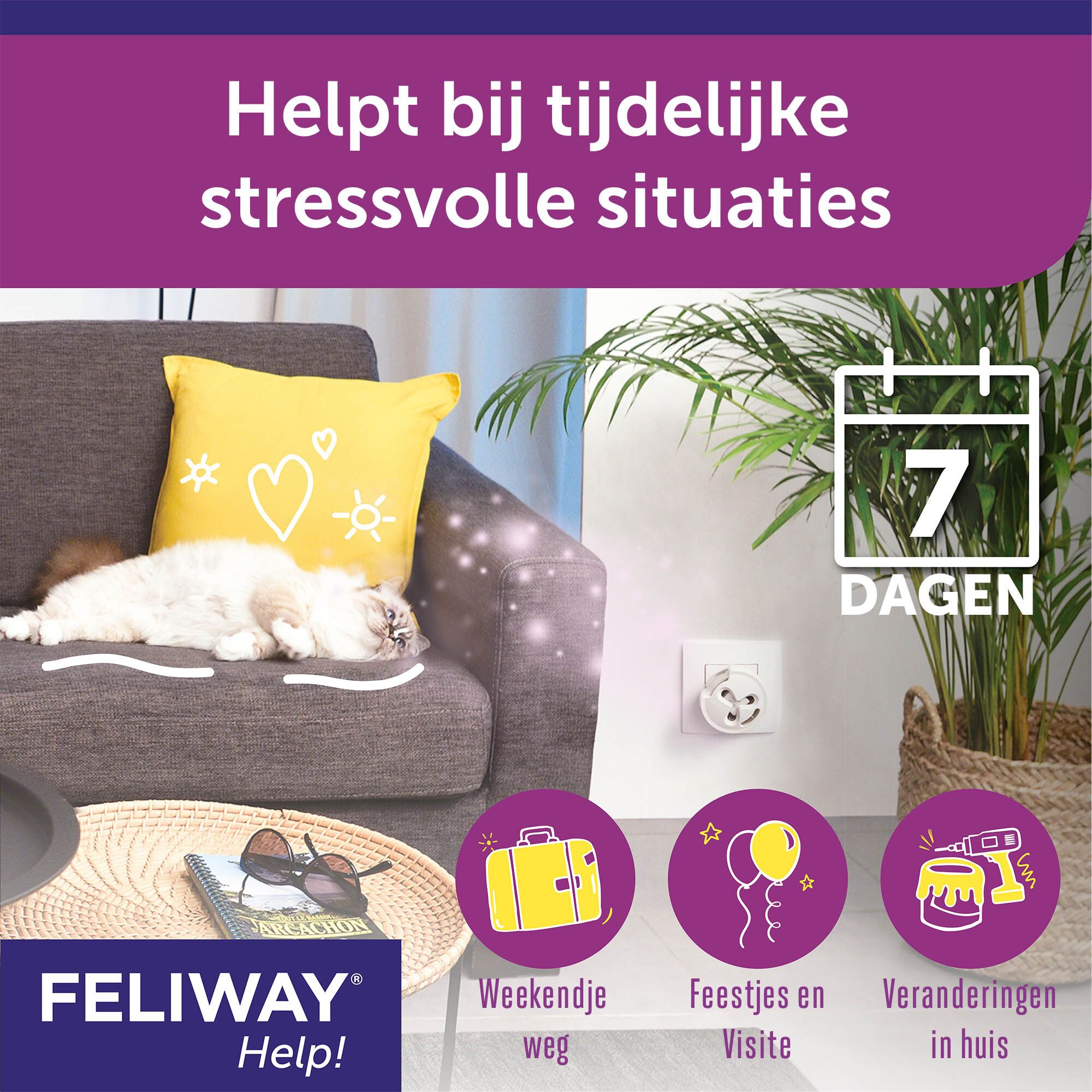 FELIWAY® Help! Ideaal voor stress. Kat op bank. Symbolen: vakantie, feest, nieuwe decoratie.