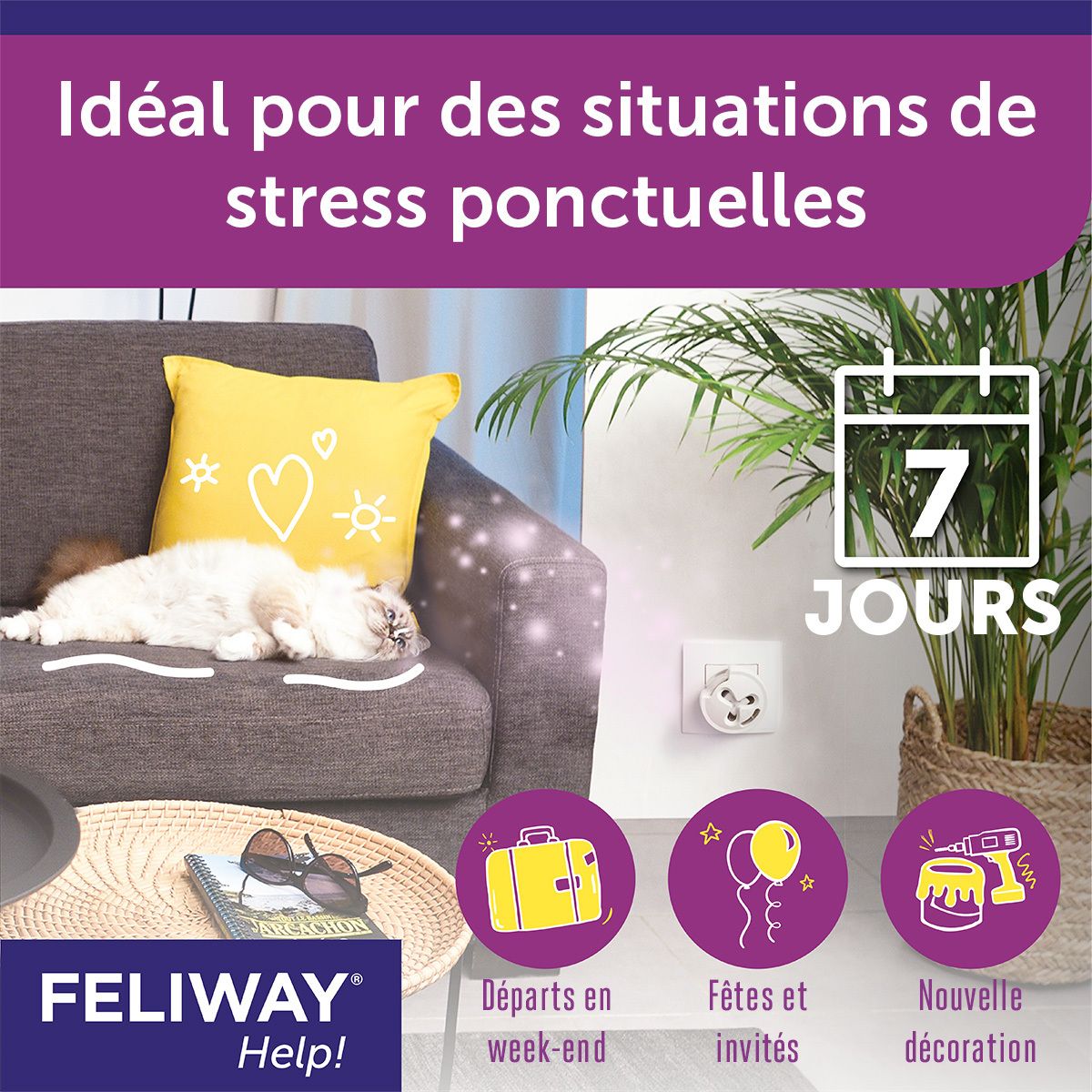 FELIWAY® Help! Idéal pour le stress. Chat sur canapé. Symboles : vacances, fête, nouvelle déco.