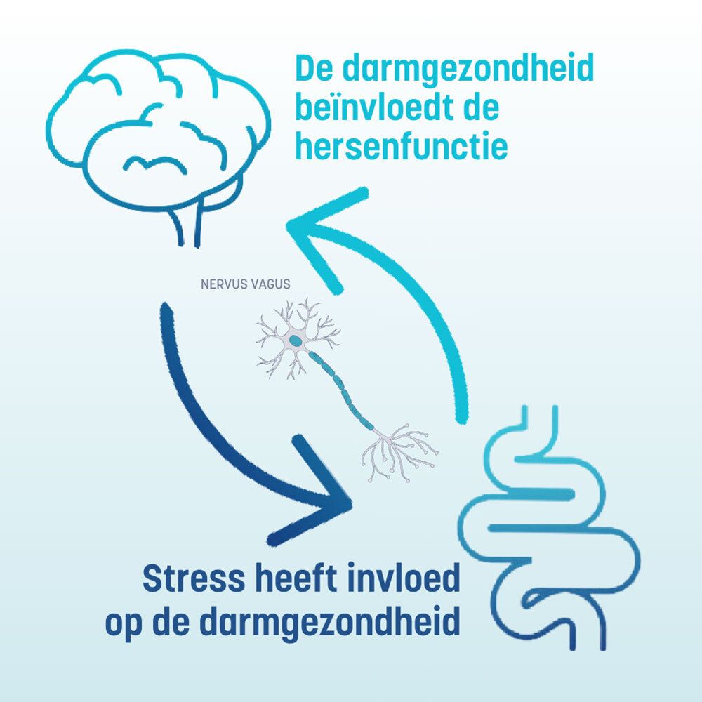 Achterkant van de productverpakking. Meertalige tekst. QR-code en houdbaarheidsdatum.