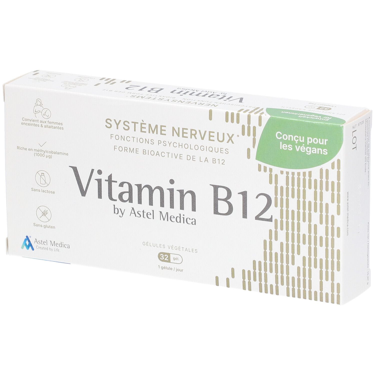 Systeme Nerveux Vitamine B12
