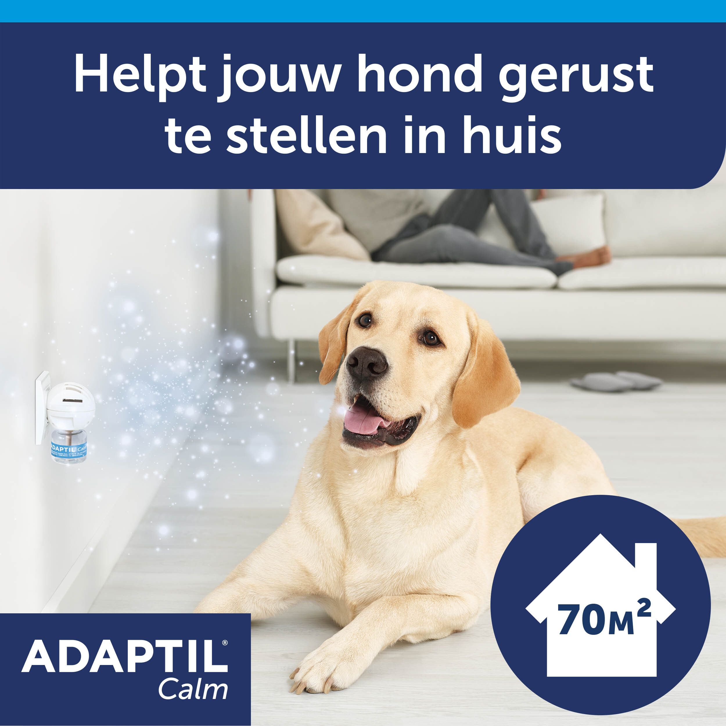 Hond in huis. ADAPTIL Calm verdamper. Tekst: Helpt jouw hond gerust te stellen.
