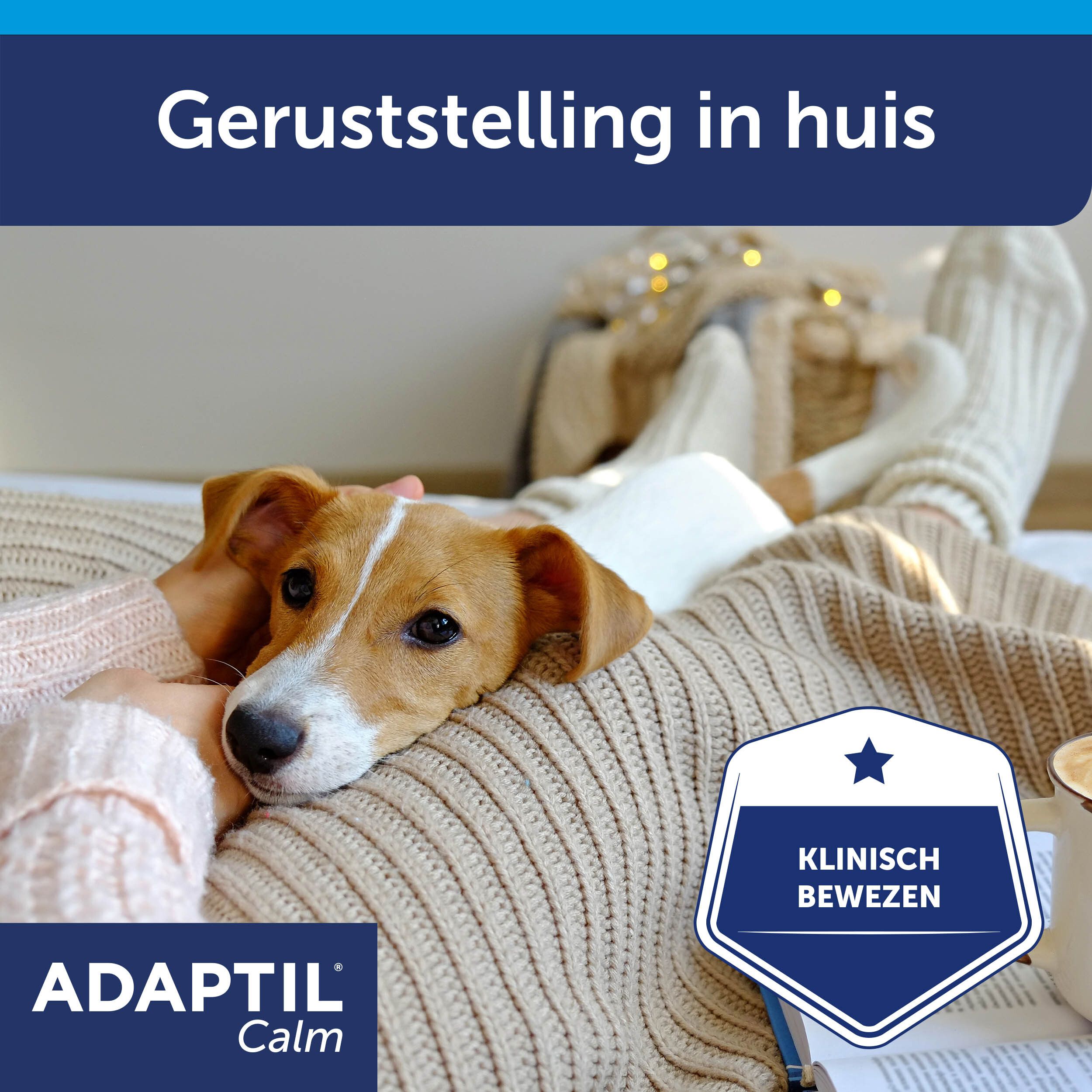 Hond op schoot. Tekst: Geruststelling in huis. ADAPTIL Calm.