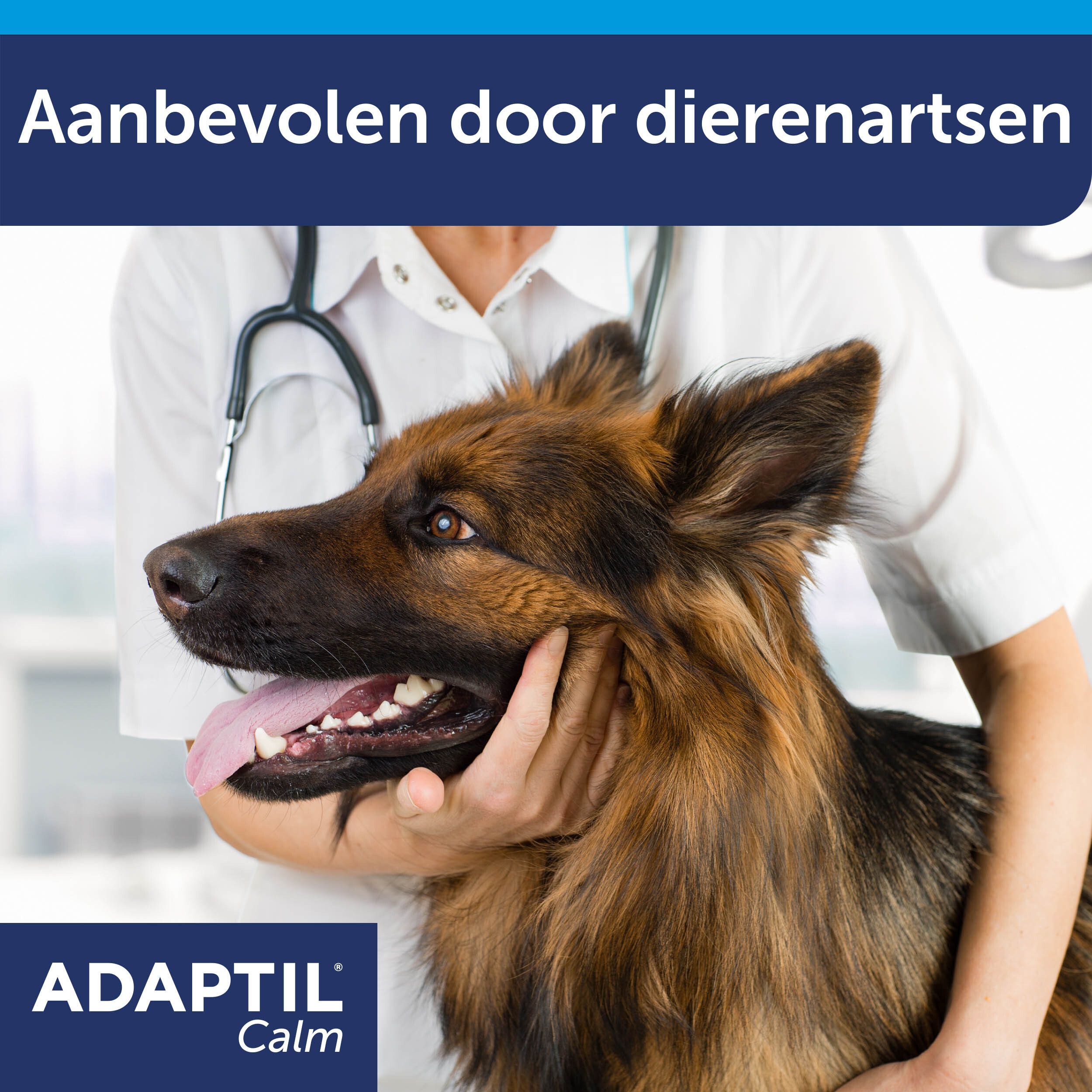 Dierenarts onderzoekt hond. Tekst: Aanbevolen door dierenartsen. ADAPTIL Calm.