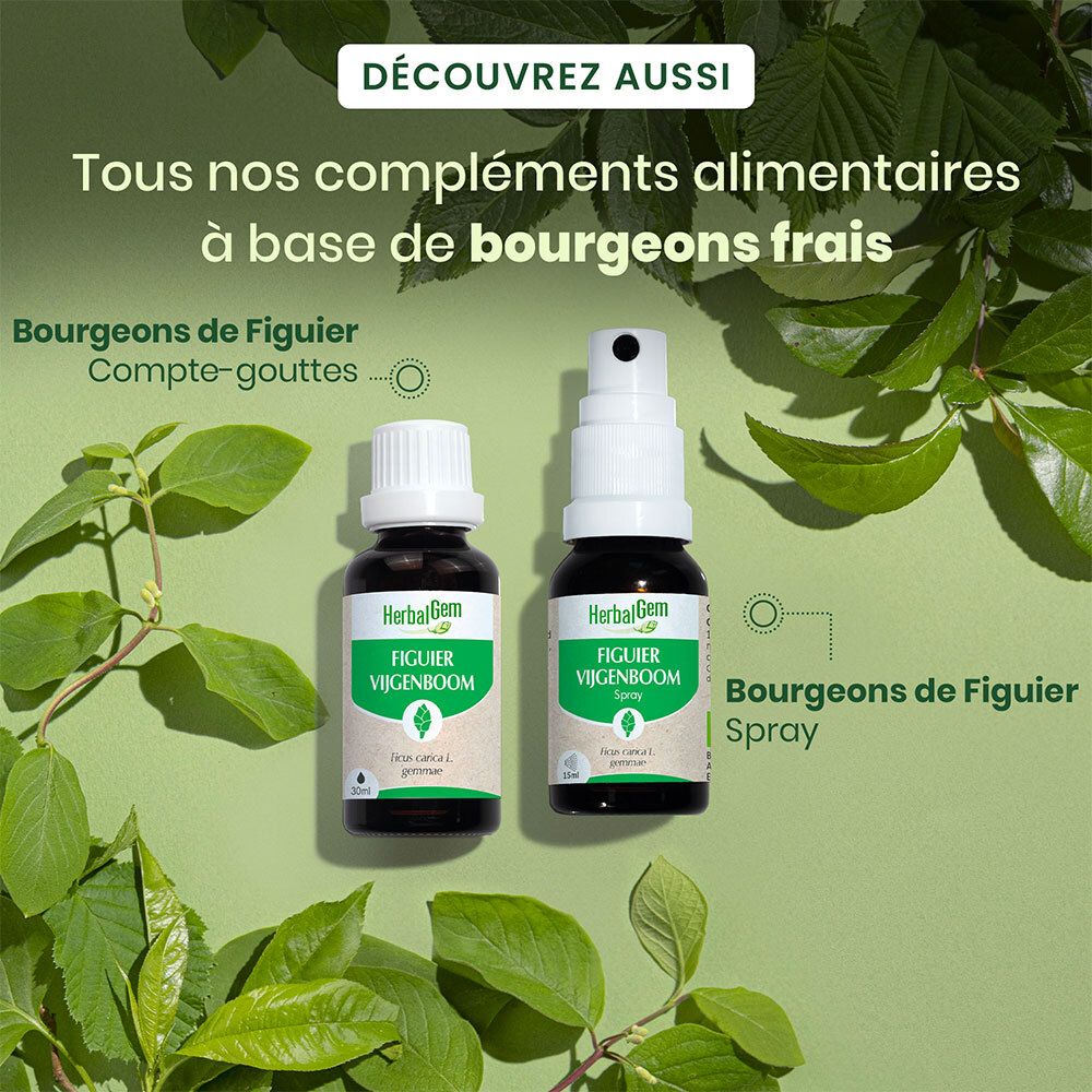 Deux flacons, un avec compte-gouttes, un avec spray. Texte: Compléments alimentaires à base de bourgeons frais.