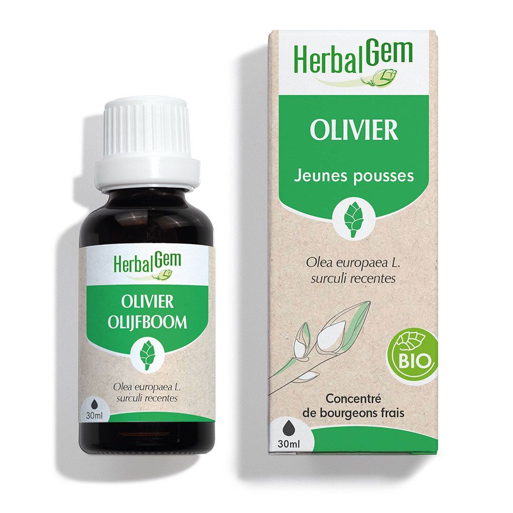 Bruine glazen fles en doos. Opschrift: HERBALGEM OLIVIER, BIO. Concentraat van verse knoppen. 30 ml.