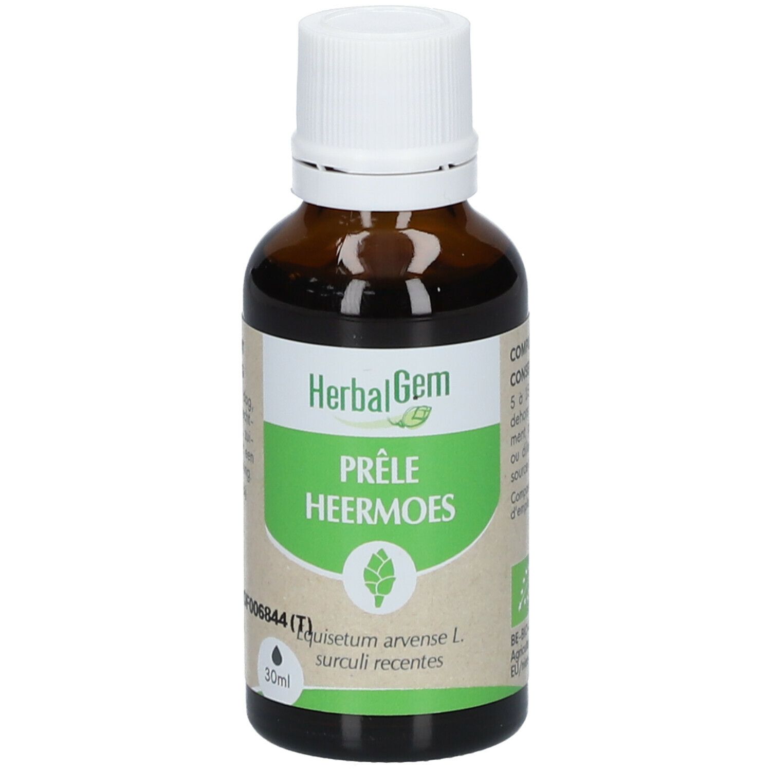 Herbalgem - Prêle Bio - Complément Alimentaire - Extrait De Bourgeon Frais - Pour Articulations - - 30 ml