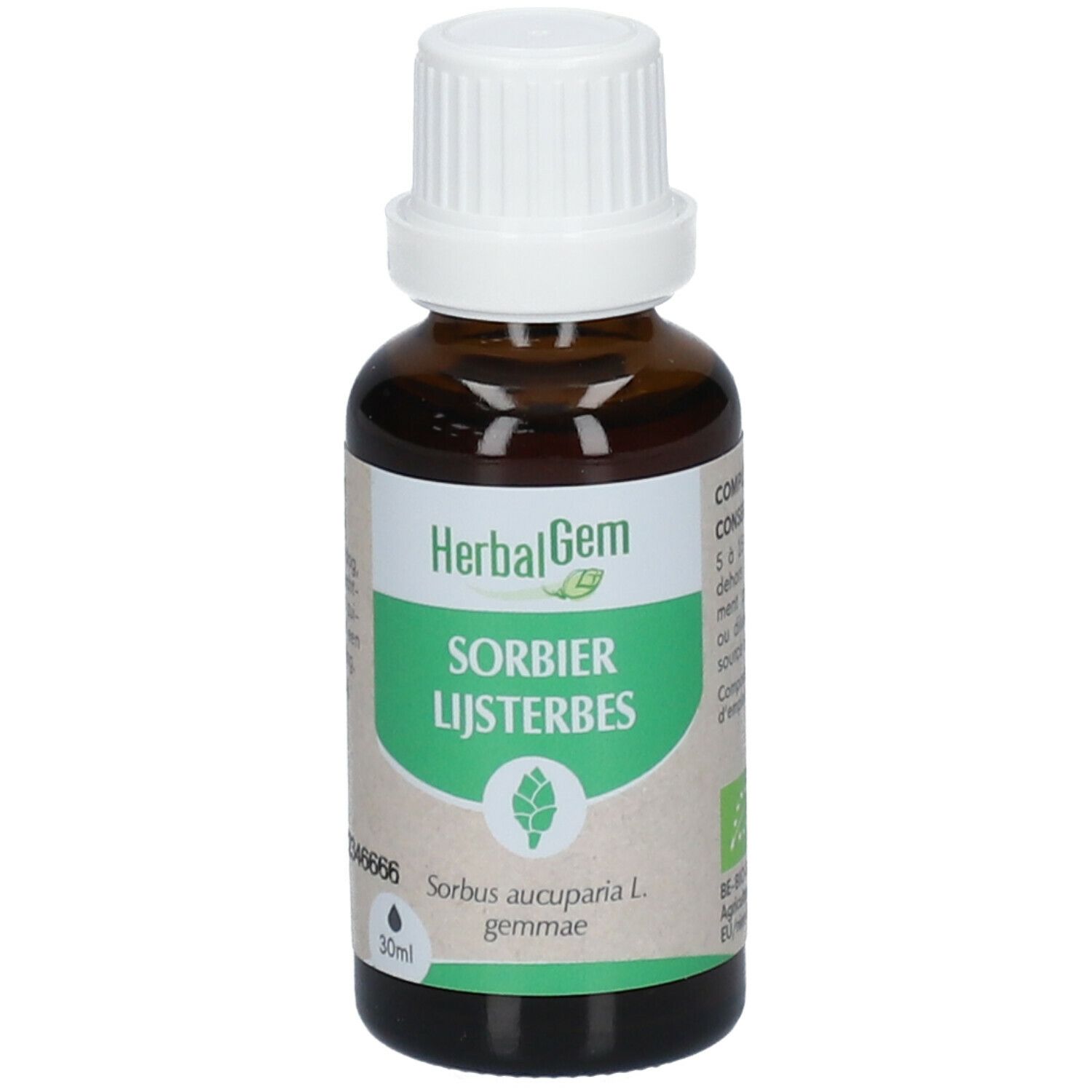 Herbalgem - Sorbier Bio - Complément Alimentaire - Extrait De Bourgeon Frais - Pour tonicité du corp, defenses immunitaires, stress - - 30 ml
