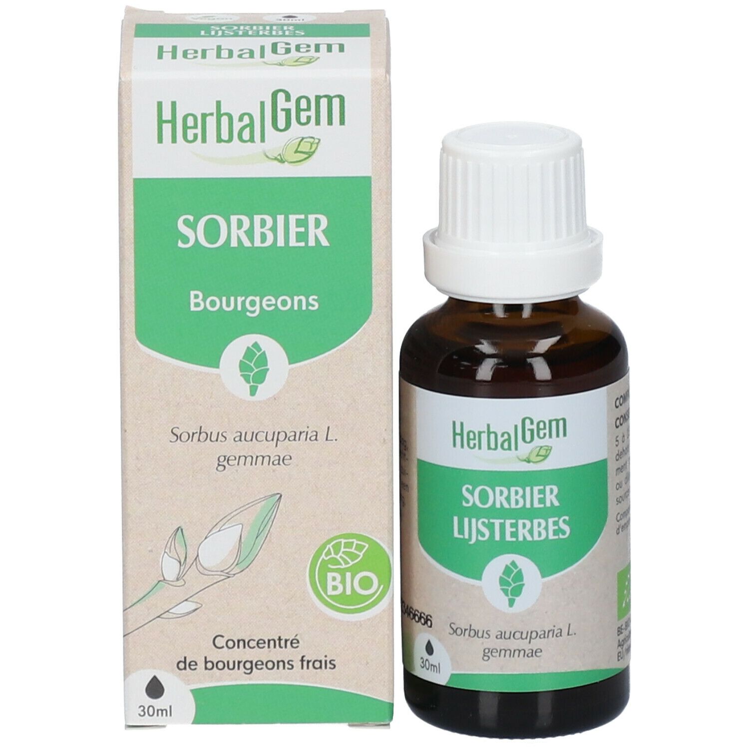 Emballage et flacon. Boîte avec "HerbalGem", "Sorbier Bourgeons" et label bio. Flacon "Sorbier Lijsterbes".