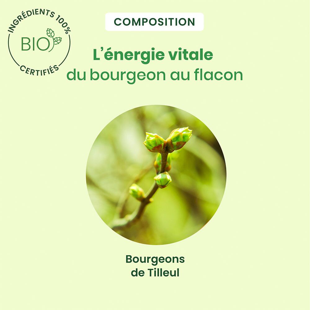 Gros plan sur des bourgeons. Texte: 'L'énergie vitale du bourgeon au flacon'.