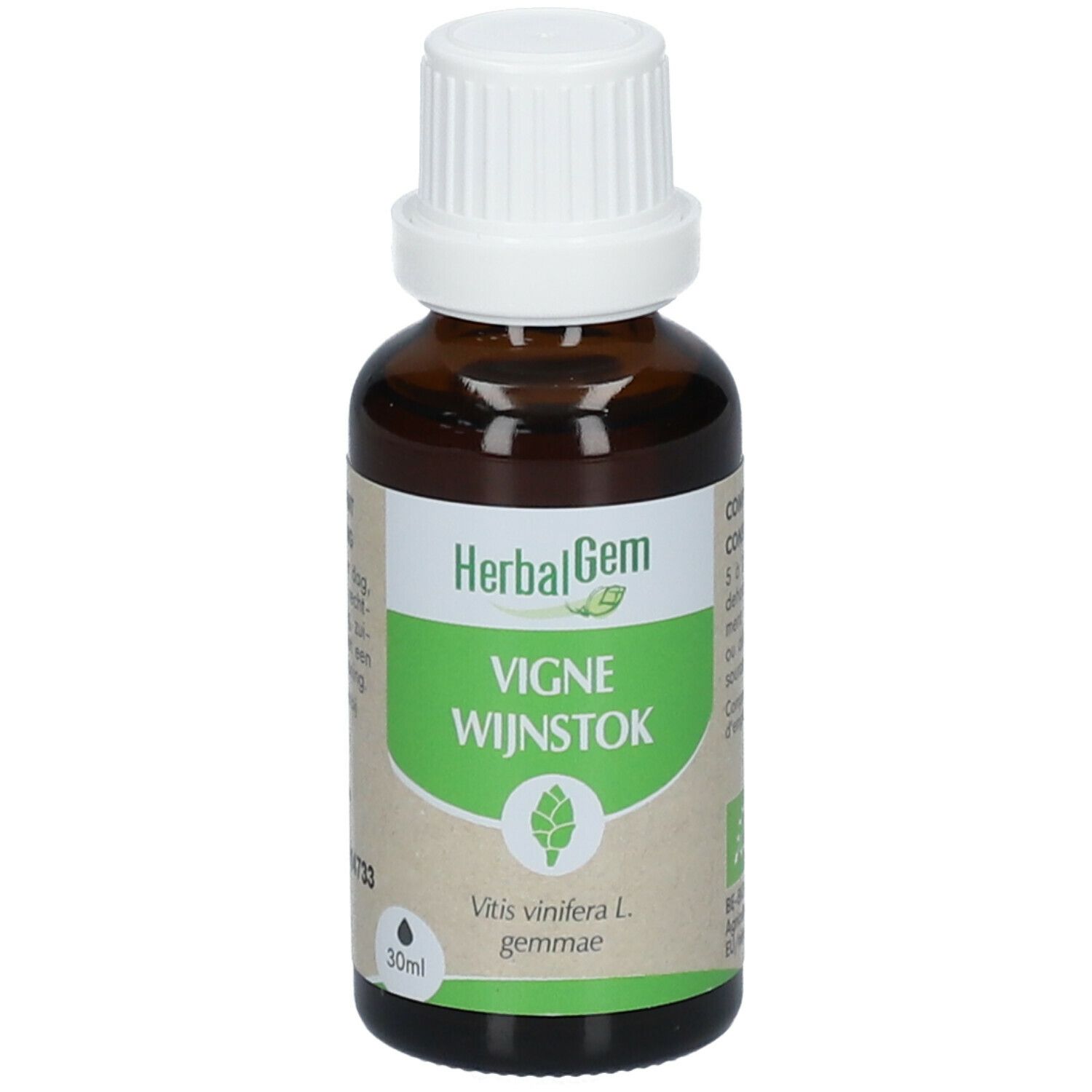 Herbalgem - Vigne Bio - Complément Alimentaire - Extrait De Bourgeon Frais - Sante circulatoir, drainage, antioxidant, sante peau - - 30 ml