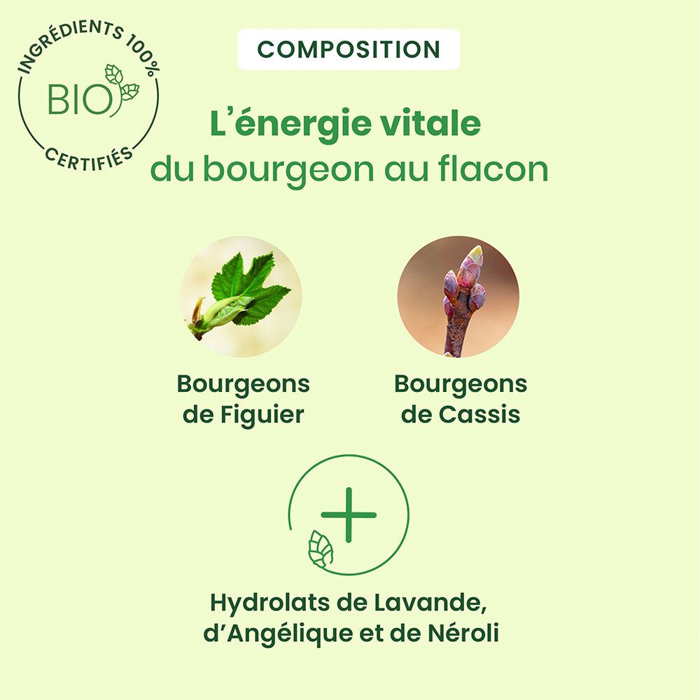 Graphique avec ingrédients : bourgeons de figuier, bourgeons de cassis, hydrolats de lavande, angélique et néroli.