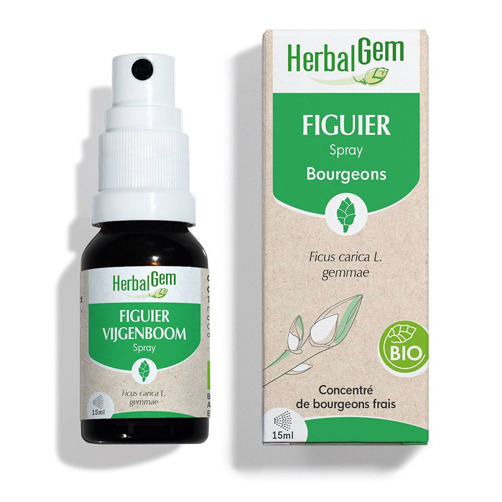 Braunglasflasche mit Sprühkopf und Karton. Aufschrift: HerbalGem, Figuier, Vijgenboom, Spray, 15 ml.