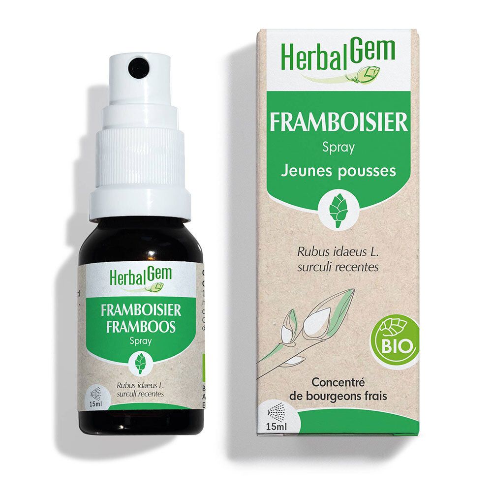 Braune Glasflasche mit Sprühkopf und Karton. Aufschrift: HerbalGem, Himbeere, Spray, Bio-Zertifizierung.