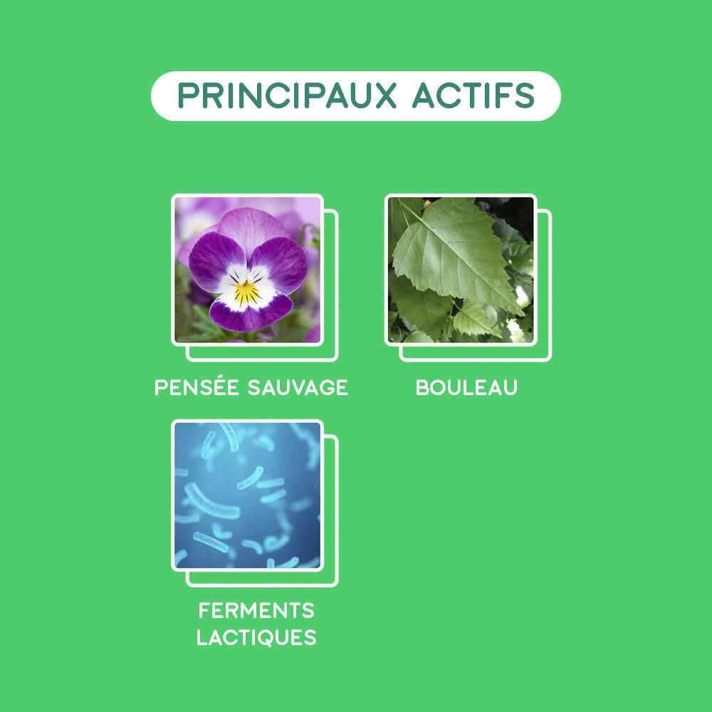 Graphique avec ingrédients. Gummies étoiles. Flacon avec gummies verts. Fond vert.