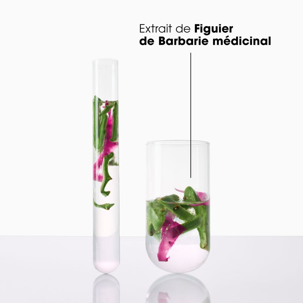 Deux verres avec ingrédients. Texte: Extrait de Figuier de Barbarie médicinal.