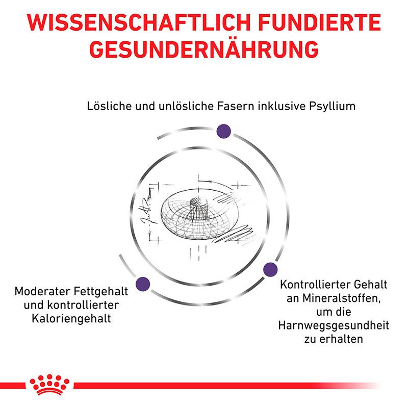 Grafik mit wissenschaftlich fundierter gesunder Ernährung, löslichen und unlöslichen Fasern, moderatem Fett- und Kaloriengehalt.
