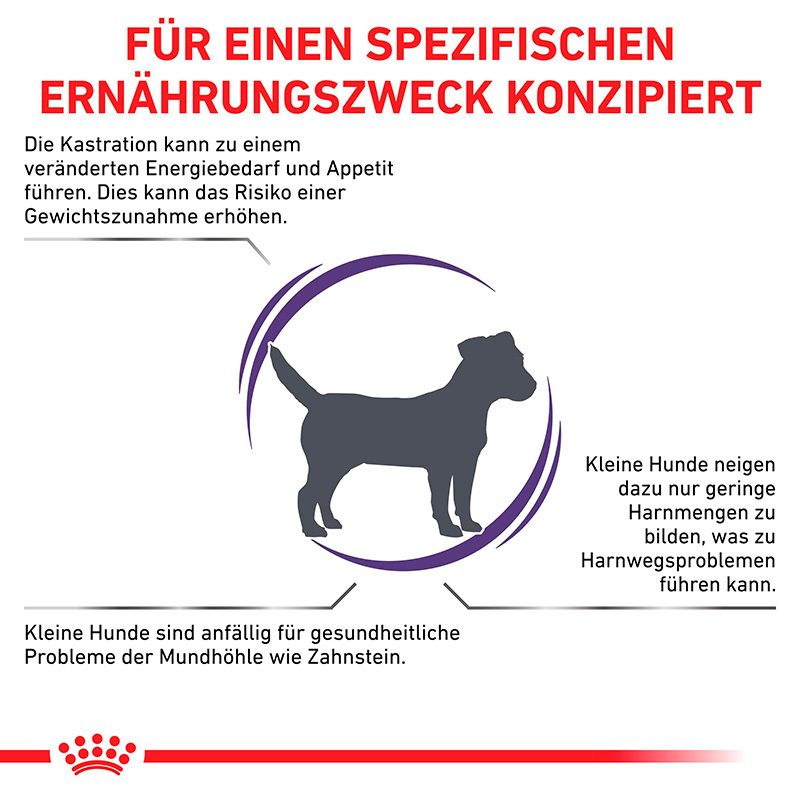 Illustration eines Hundes mit Text über Ernährung und Kastration.