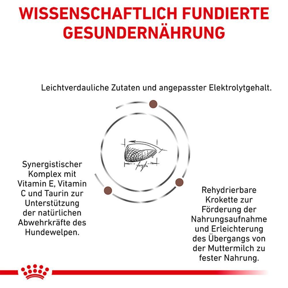 Grafik einer Kroketten-Illustration mit Text über Nährstoffe und Welpenfutter.