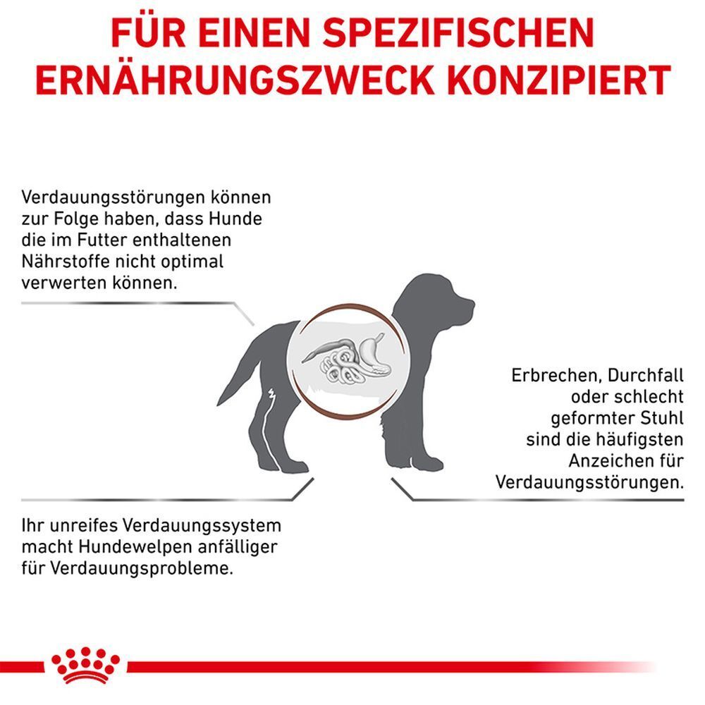 Schema eines Hundes, das Verdauungsprobleme und deren Auswirkungen auf die Nährstoffaufnahme zeigt.