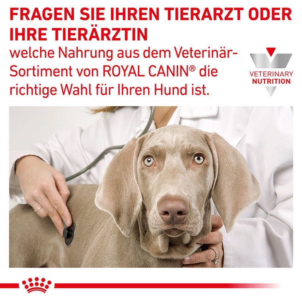 Tierarzt untersucht Hund mit Stethoskop. Royal Canin Logo.