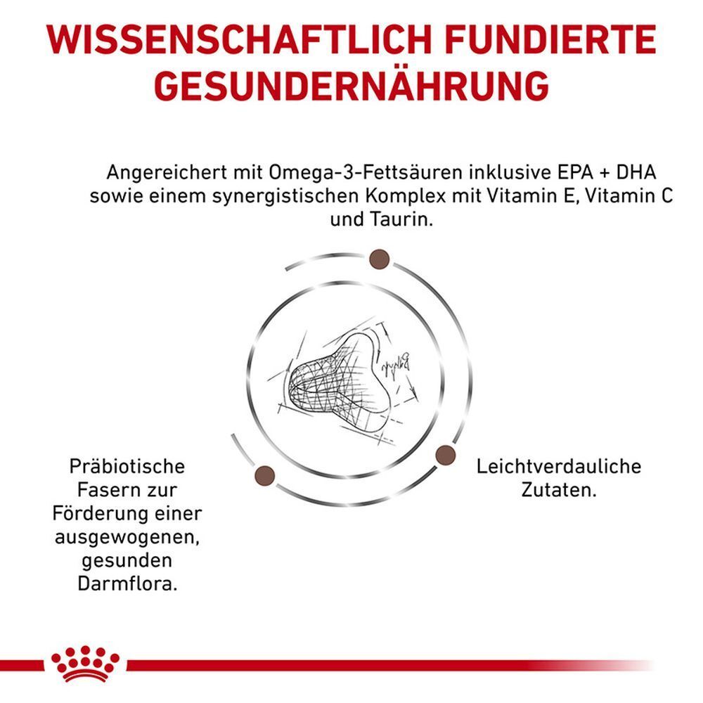 Verpackungsänderung: ROYAL CANIN Gastrointestinal Fibre Response Katzenfutter.