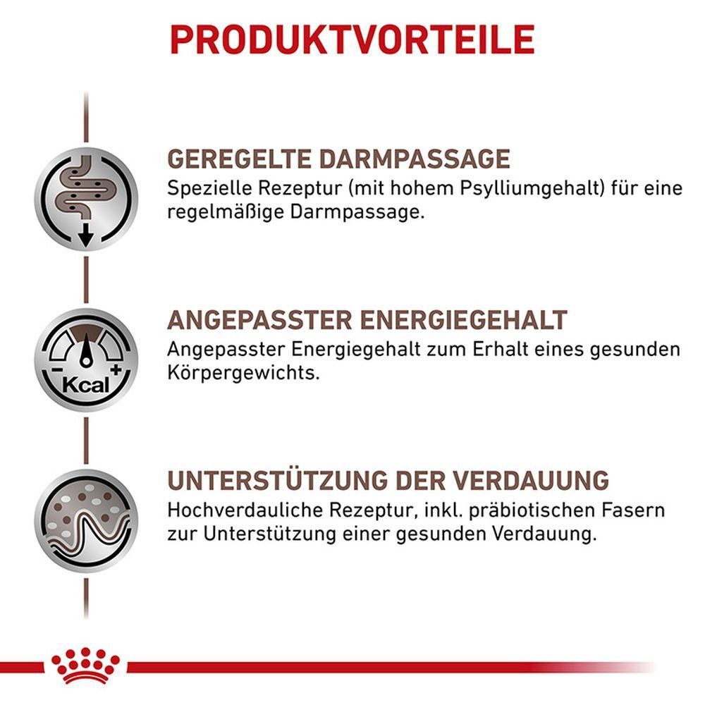 Wissenschaftlich fundierte Katzenernährung mit Präbiotika und leichtverdaulichen Zutaten.