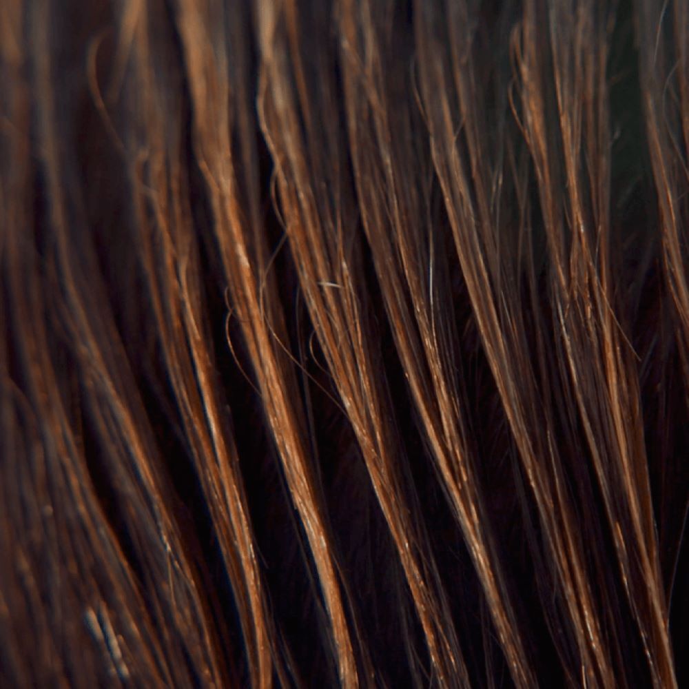 Personne reçoit un massage du cuir chevelu. Mains sur la tête, cheveux couverts de crème.
