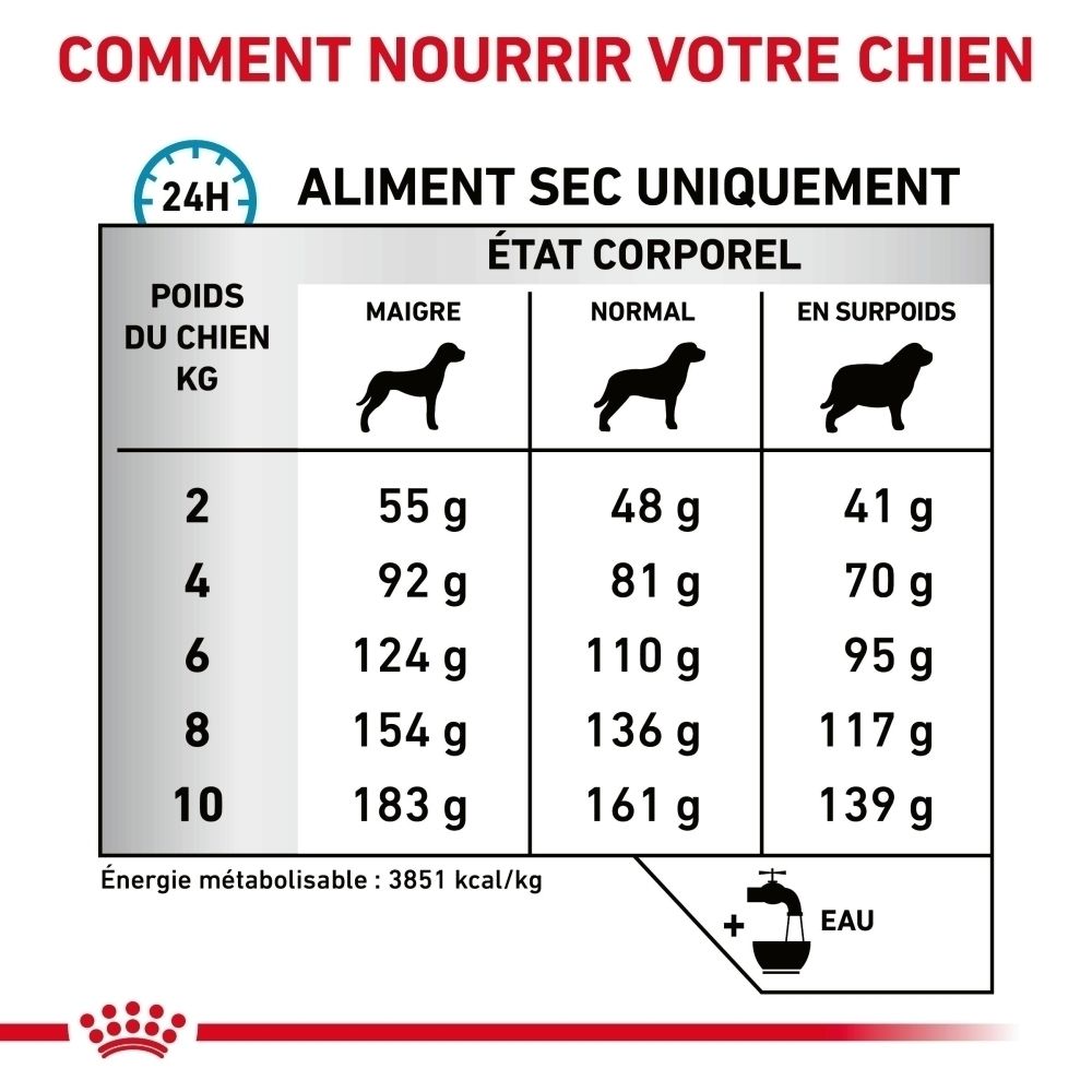 Tableau de rationnement pour chiens : état corporel, poids (kg) et quantité de nourriture (g). Indique les calories.