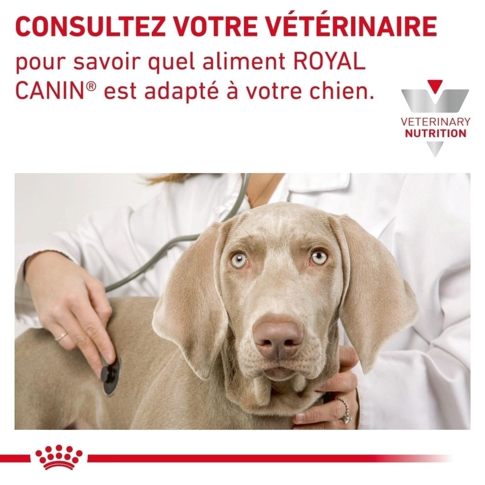 Vétérinaire auscultant un chien avec un stéthoscope. Logo Royal Canin.