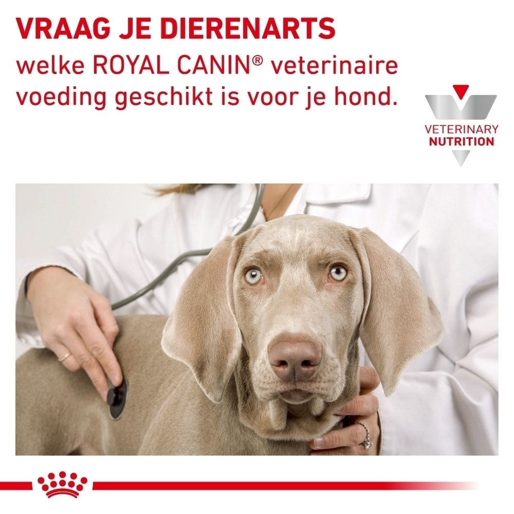 Dierenarts onderzoekt hond met stethoscoop. Tekst: "Vraag je dierenarts welke Royal Canin veterinaire voeding geschikt is voor je hond."