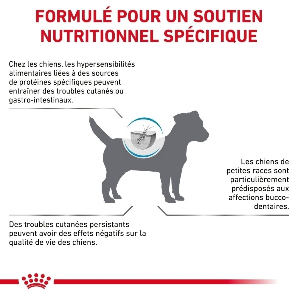 Illustration d'un chien avec des icônes représentant des problèmes de peau et gastro-intestinaux.