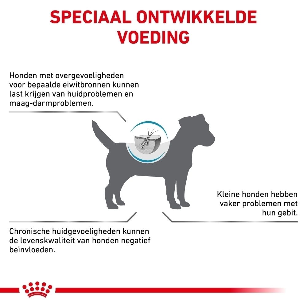 Illustratie van een hond met symbolen voor huid- en maag-darmproblemen. Speciaal ontwikkelde voeding.