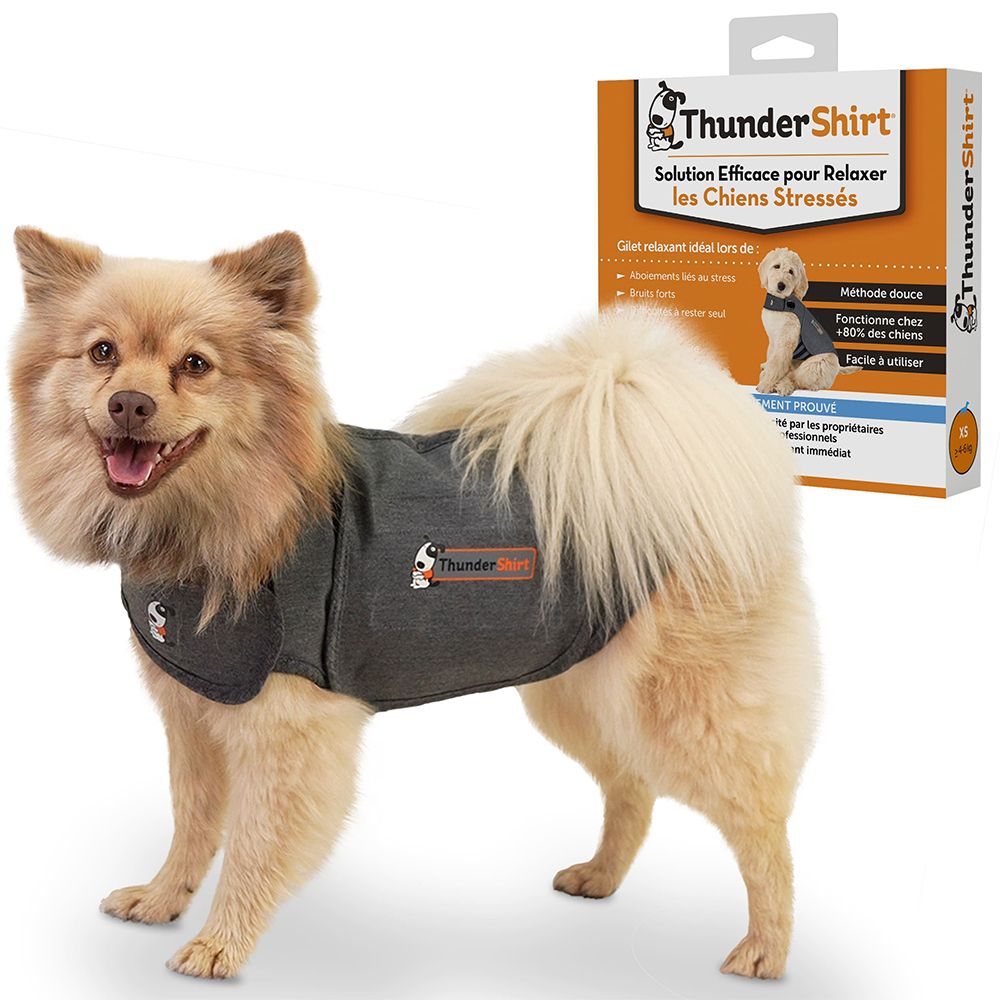 Chien portant un ThunderShirt gris. Inscription ThunderShirt. Emballage avec image du produit.