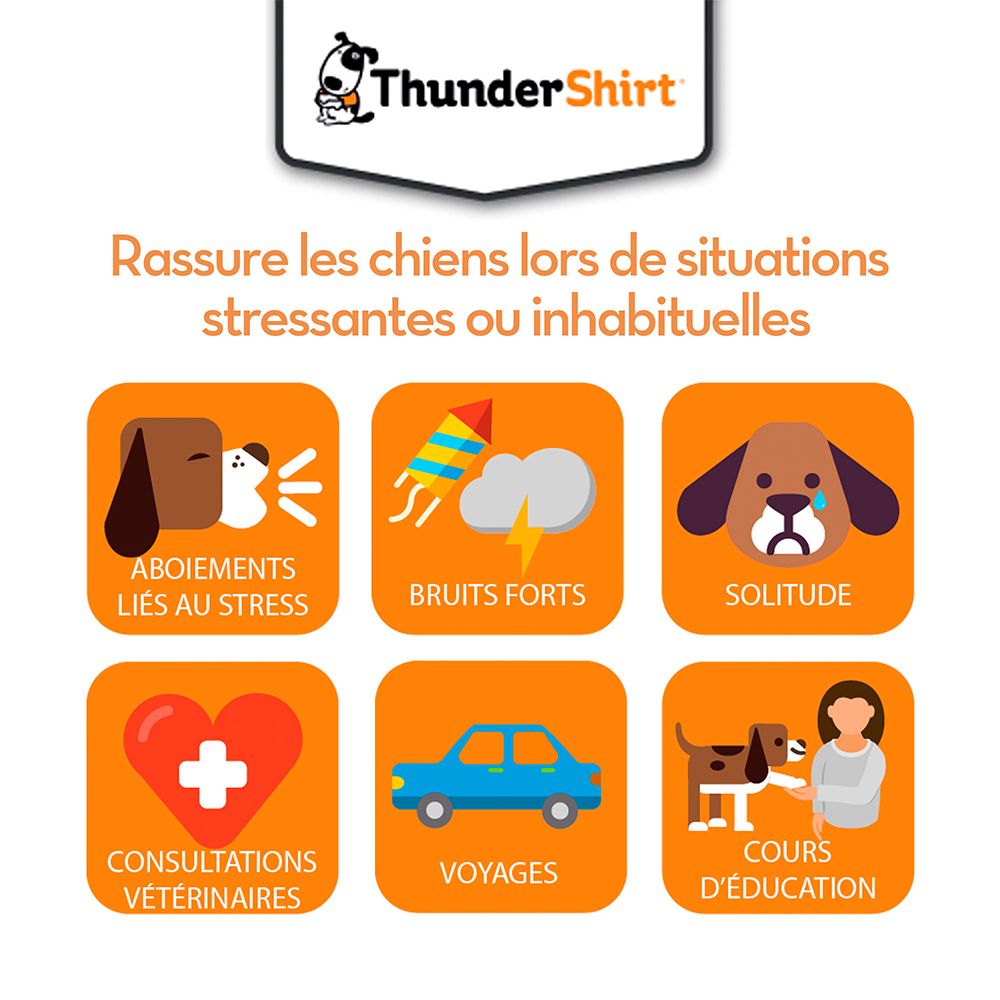 Graphique orange avec icônes des causes de stress chez le chien. Logo : ThunderShirt.