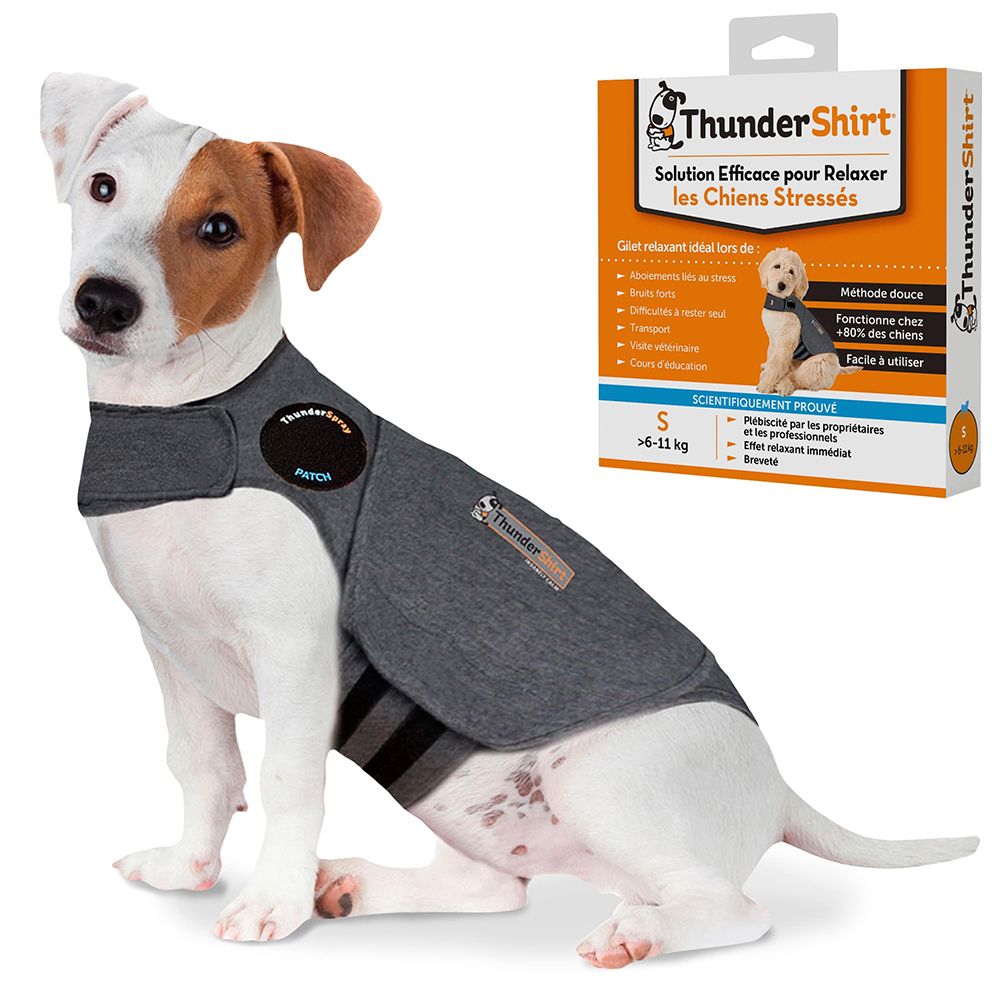 Gilet gris pour chien. ThunderShirt est écrit sur le gilet. Un chien porte le gilet.