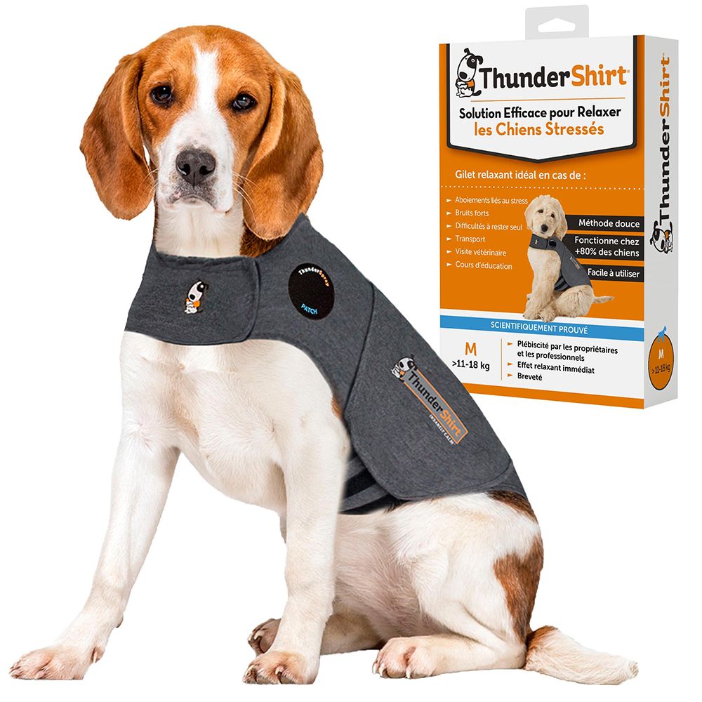 Chien avec gilet gris. Emballage du produit avec logo et texte à côté. Taille M.