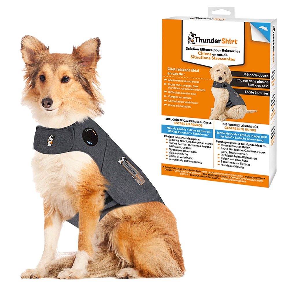 Grauer Hundemantel. Der Hund trägt ein graues Shirt. Daneben eine Produktverpackung.
