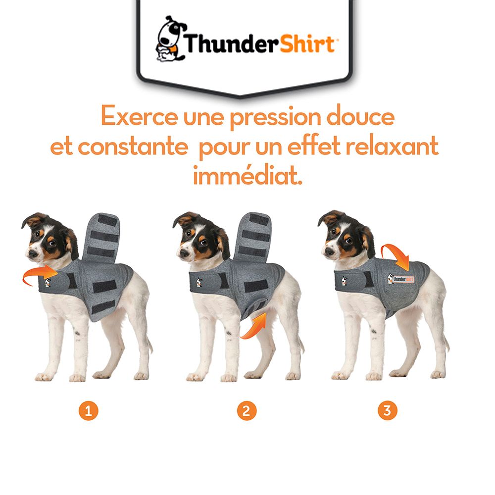 Drei Hunde mit Shirt. Illustration der Anwendung. Pfeile zeigen die Anwendung.