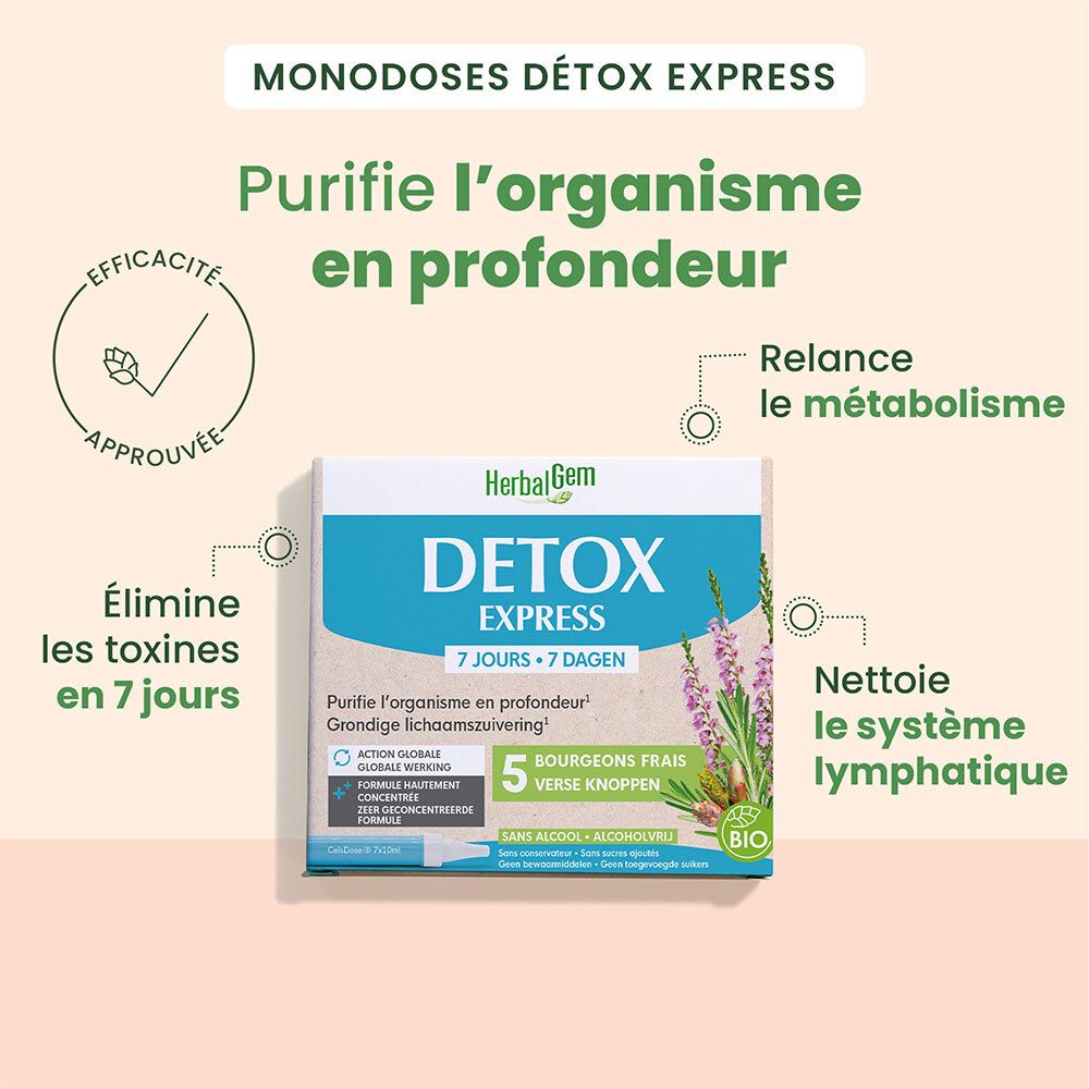 Graphique avec boîte "HerbalGem Detox Express". Flèches pointent vers "détox", "métabolisme", "système lymphatique". Certification Bio.