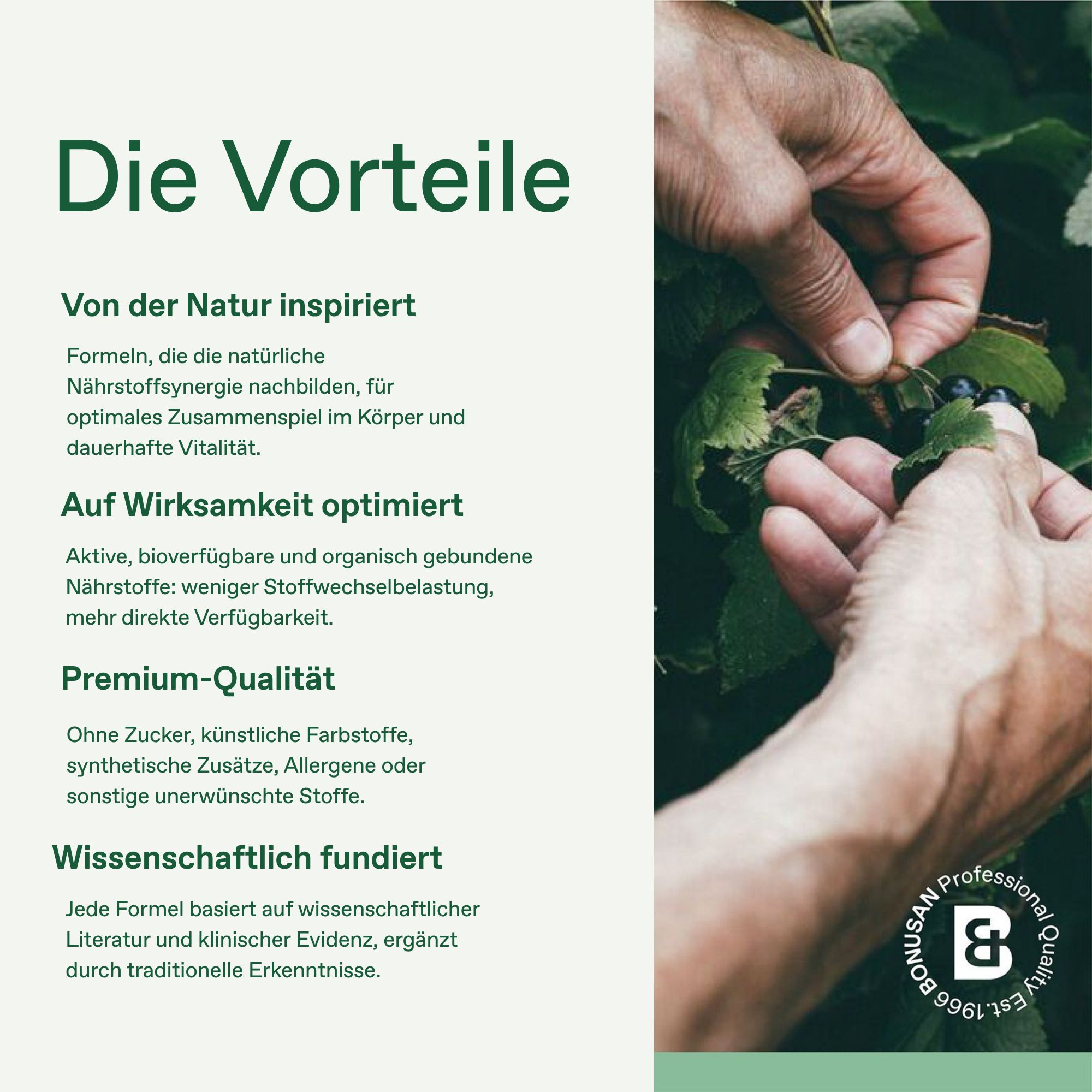 Bonusan Bacteri 17 Resilience Pro Karton, Vorderseite mit deutschem Produktnamen.