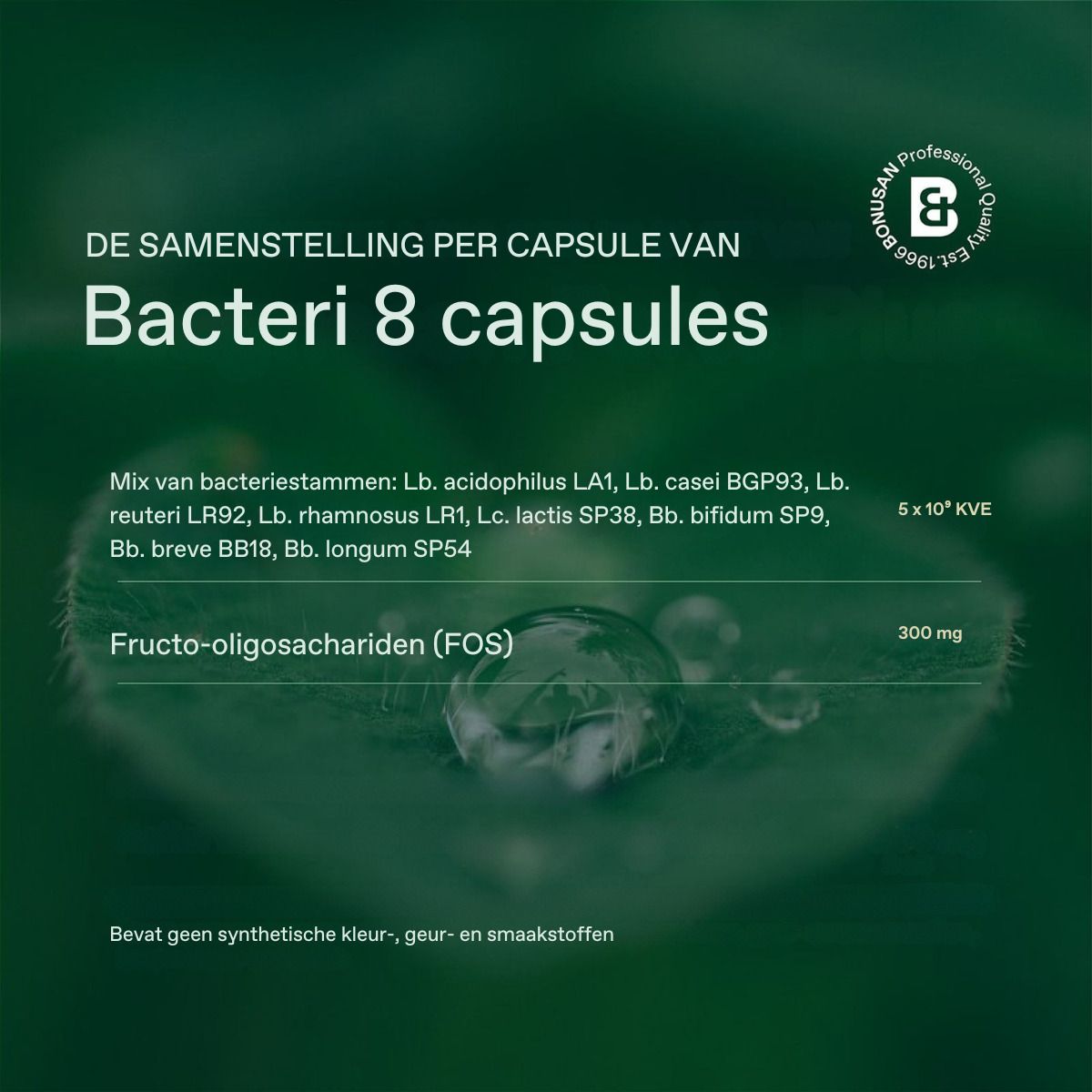 Zusammensetzung pro Kapsel Bacteri 8: Mix aus 8 Bakterienstämmen, Fructo-Oligosaccharide (FOS).