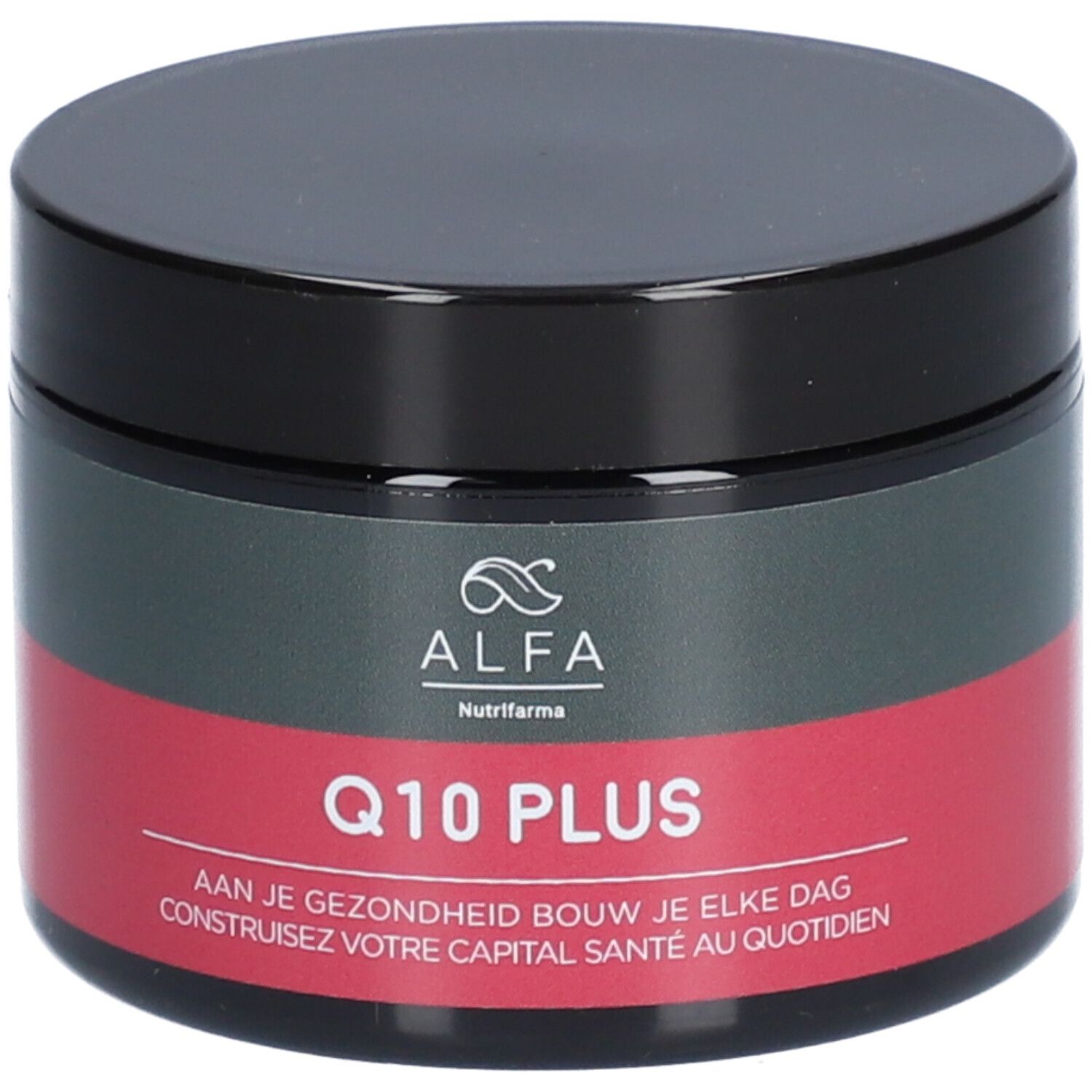 Alfa Q10 Plus