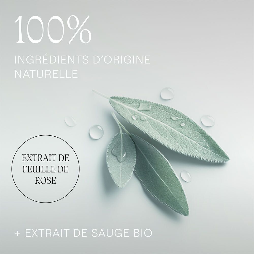 Feuilles et gouttes d'eau. Texte: 100% INGRÉDIENTS D'ORIGINE NATURELLE. Extrait de feuille de rose et sauge bio.