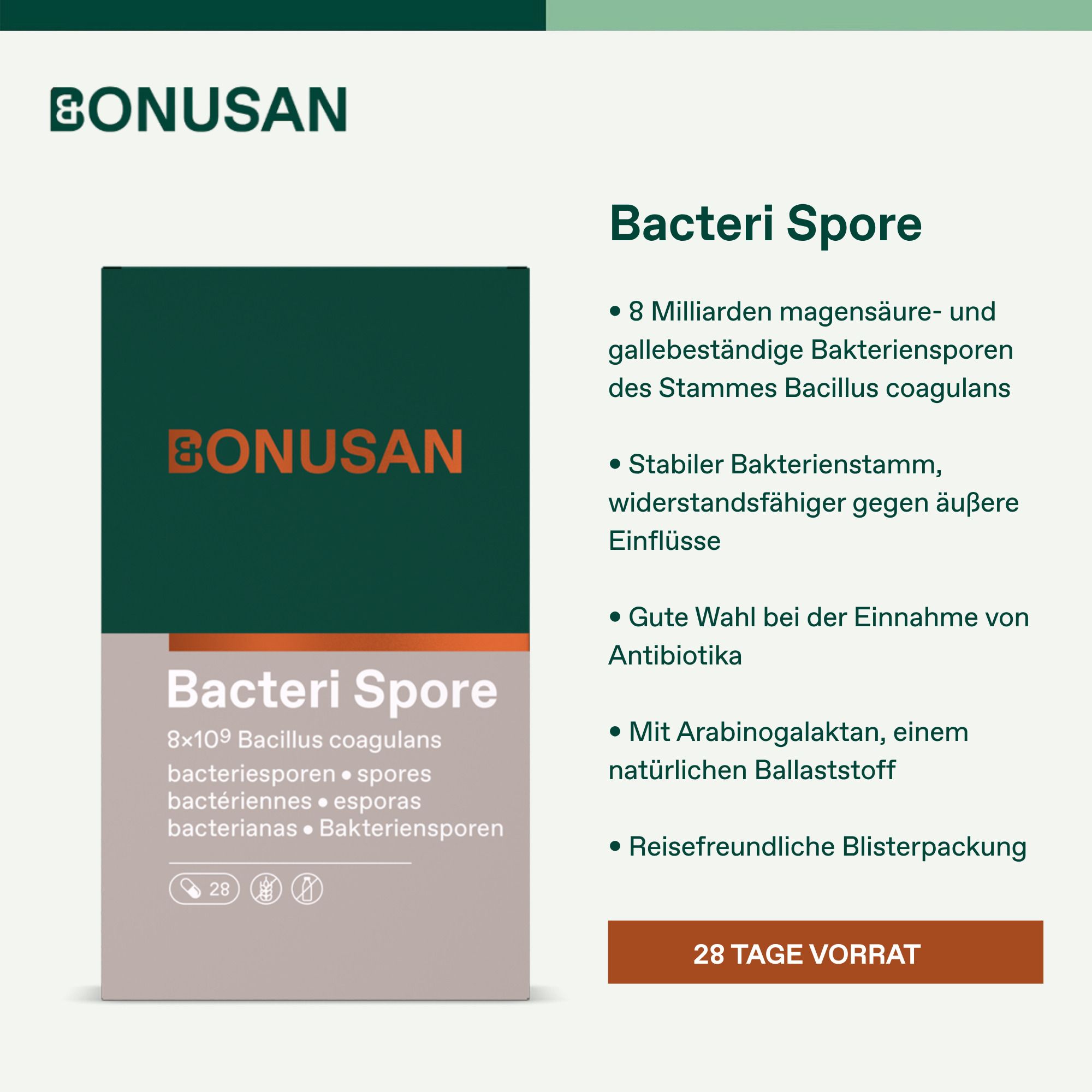 Bonusan Bacteri Spore Verpackung, Rückseite mit detaillierten Anwendungsinformationen.